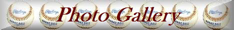 Photo_Gallery_NBaseballban1