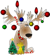 Reindeer1